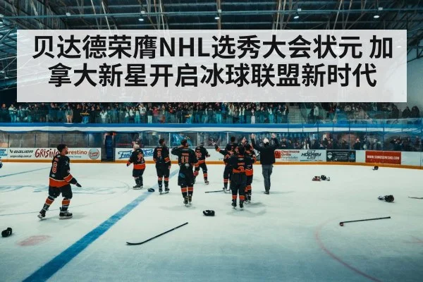 ice hockey arena fans