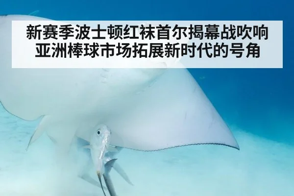 新赛季波士顿红袜首尔揭幕战吹响亚洲棒球市场拓展新时代的号角