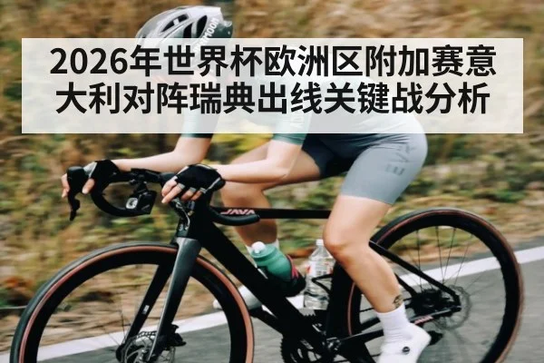 2026年世界杯欧洲区附加赛意大利对阵瑞典出线关键战分析